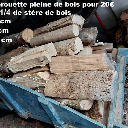 Le 5 Mn De Luchon - Jardin Garage Et Parking