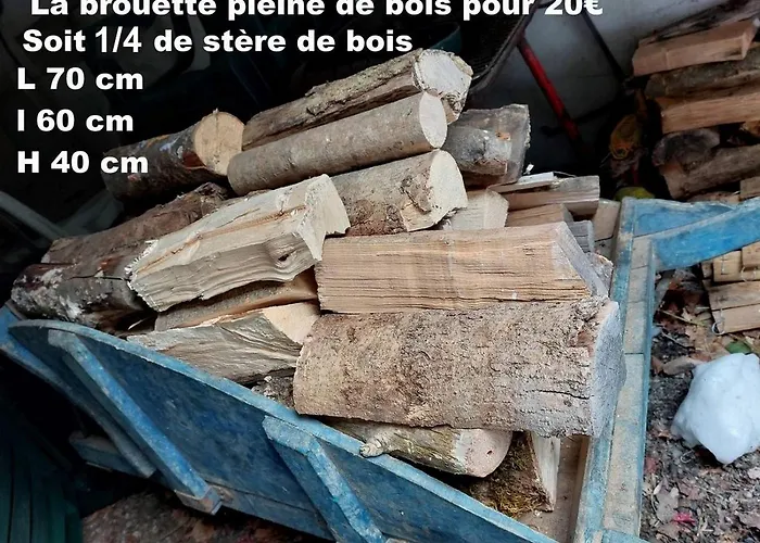 Le 5 Mn De Luchon - Jardin Garage Et Parking